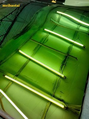 İyi bir fiyat. Yeşil ayna renkleri Pvd kaplama dekorasyon paslanmaz çelik plaka çevrimiçi