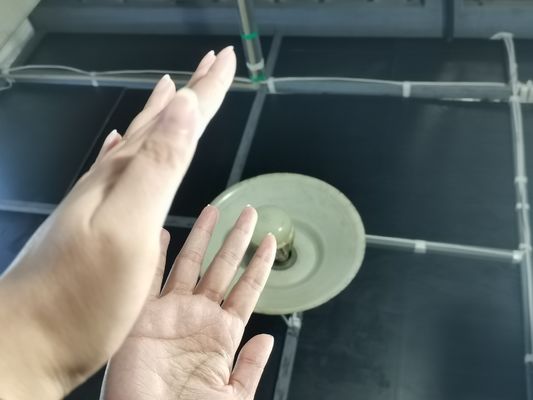 201 Sınıf Dekoratif Paslanmaz Çelik Yaprakı Gümüş Renkli Kaplama